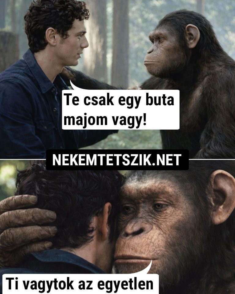 Te csak egy buta majom vagy