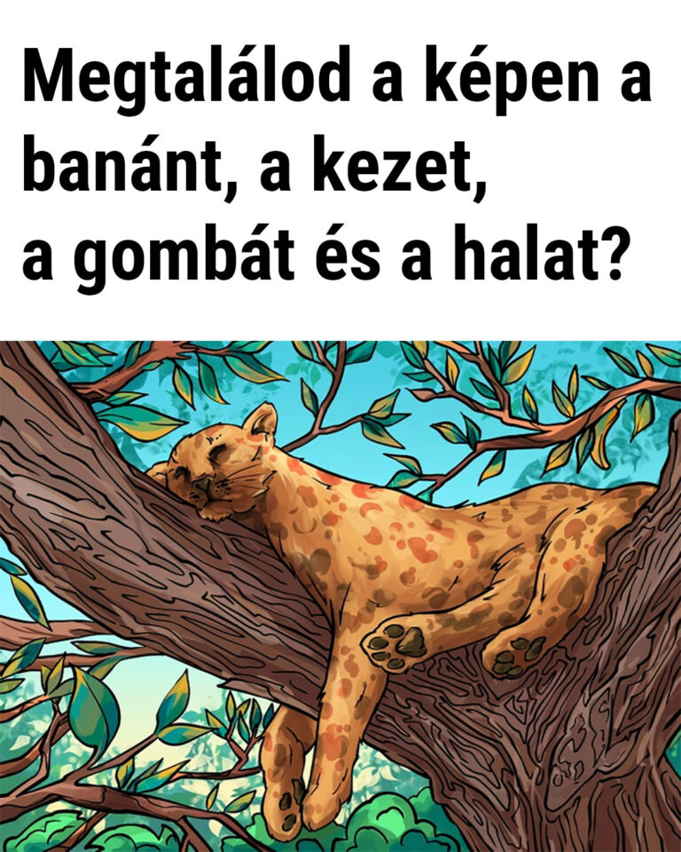 Teszteld le az elméd ezzel a képes feladattal!